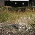 Your Land is no longer your land! U.S. Government Stealing Land