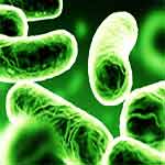 Superbugs – Antibiotic Resistant Bacteria Becoming a Global Threat – 5/10/12