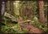 Hiking Safety Tips: Before you ever step foot on the trail…