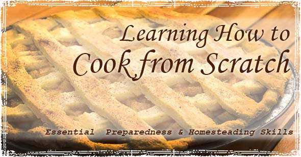 Learning How to Cook Graphic with a Pie
