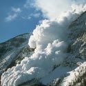 Surviving an Avalanche