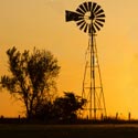 Urban Homesteading