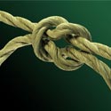 The Double Loop Bowline.