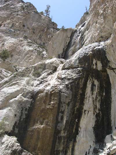 Mary Janes  Kids on Mary Janes Falls Trail     Mt  Charleston Nevada