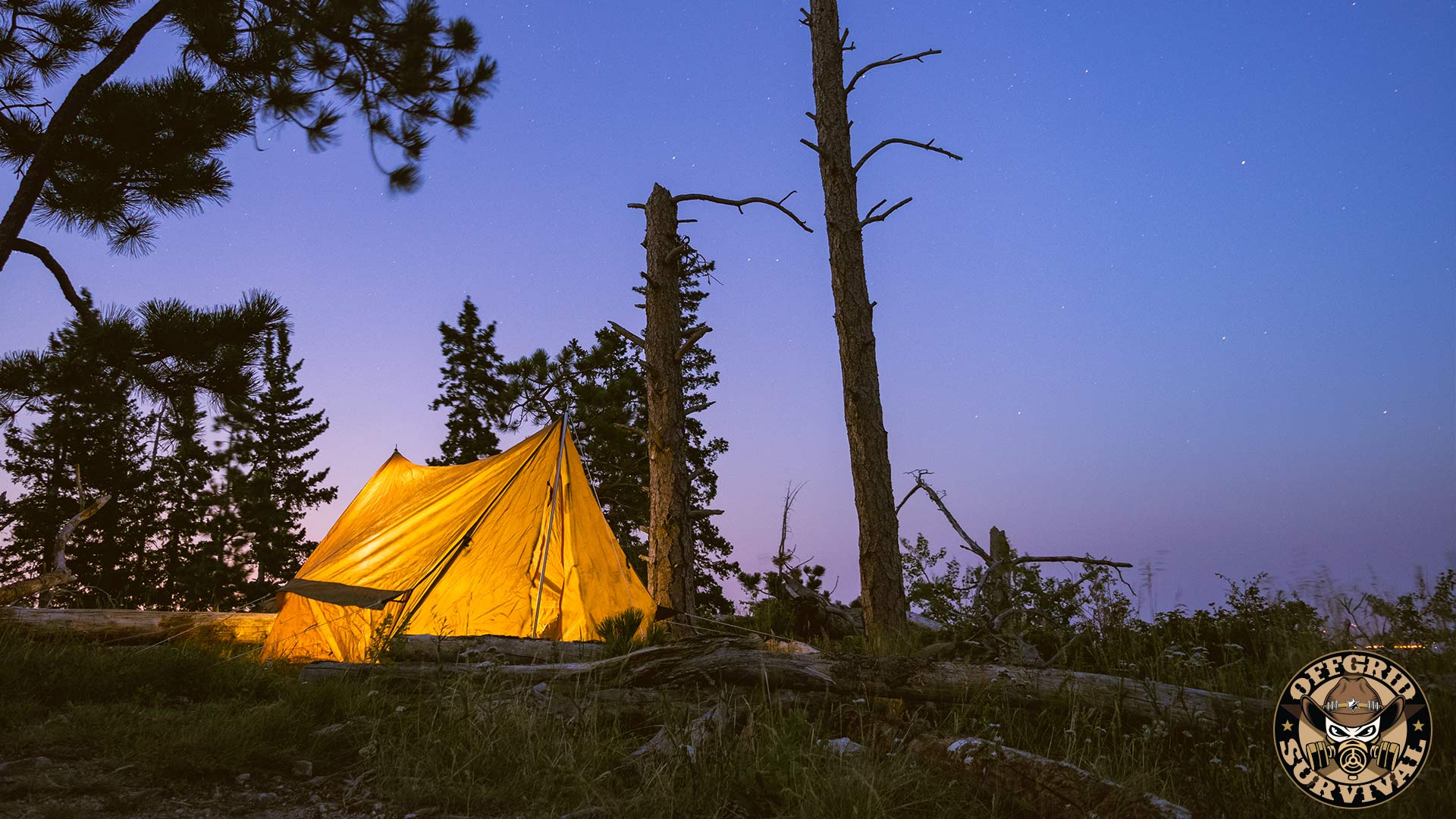 Camping is a Great Way to Increase Your Survival Knowledge