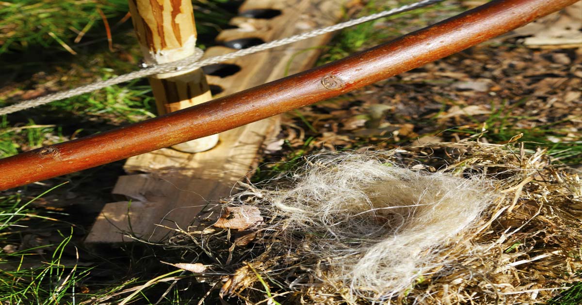 bowdrill A Bow Drill for starting a fire