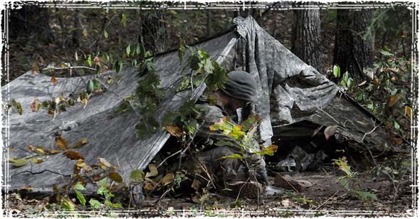 Two Ponchos Aframe Shelter