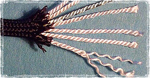 550 Paracord: The Top Cordage for Survival & Outdoor Adventures