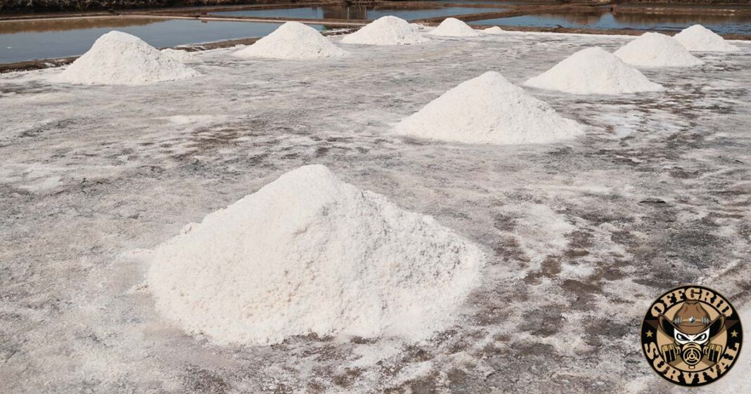 Finding Salt in the Wilderness: Where to Get Sodium When Your Supply Runs Out Natural salt source in the Wild
