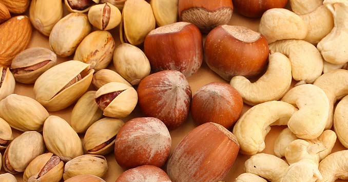 Survival Food – Nuts