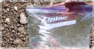 Plastic Ziplock Storage Bag filled with Water