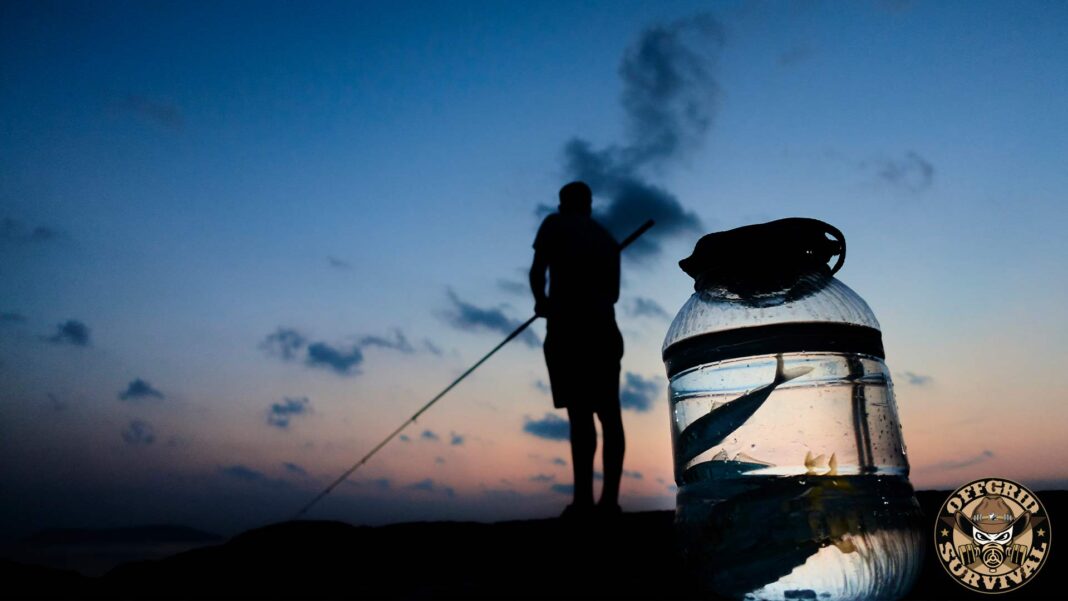 Make a Plastic Bottle Fishing Trap Plastic Water Bottle Fishing Traps