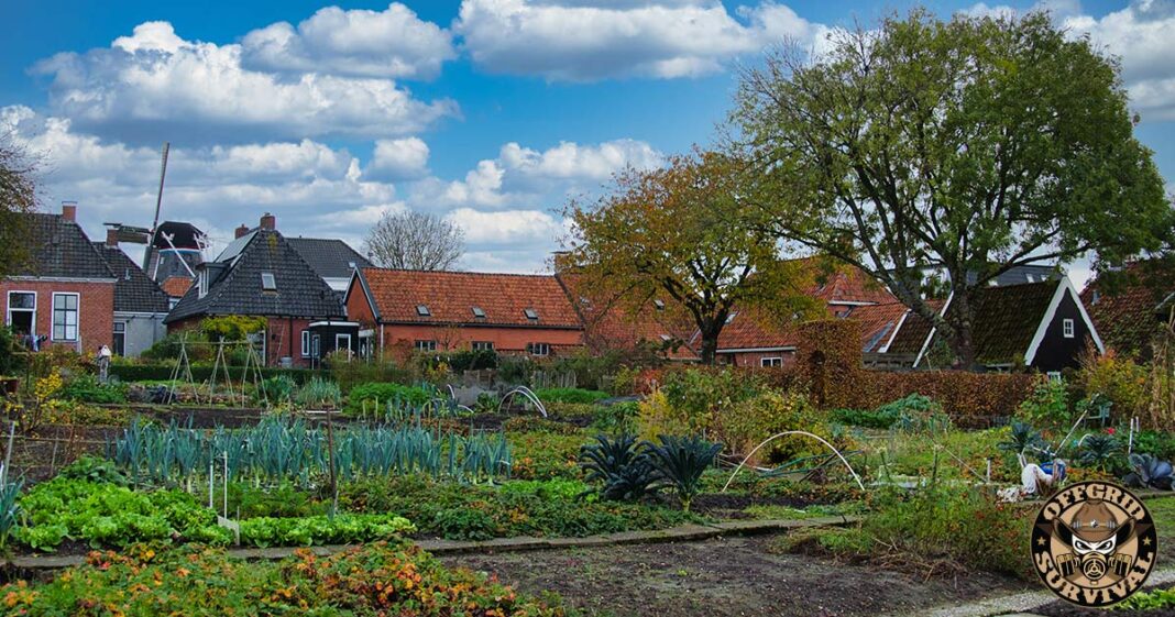 Urban Homesteading: Growing Food on an Urban Farm in Your Own Yard An Urban Home Farm