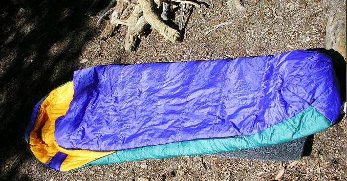 Sleeping Bag on the Forest Ground