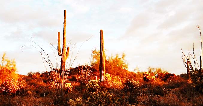 Wilderness Trip Planning