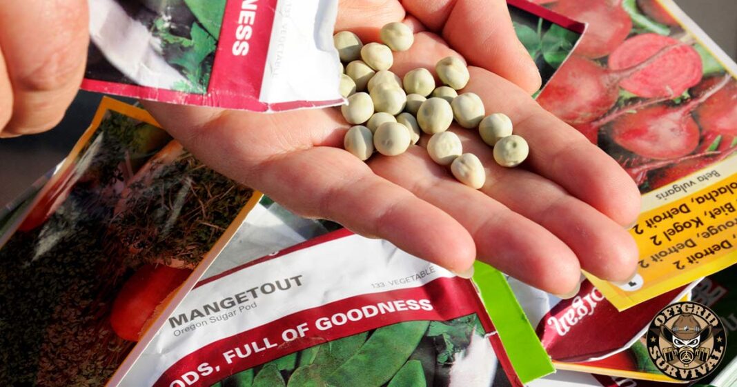 Survival Seeds
