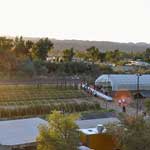 Organic Farm in Nevada