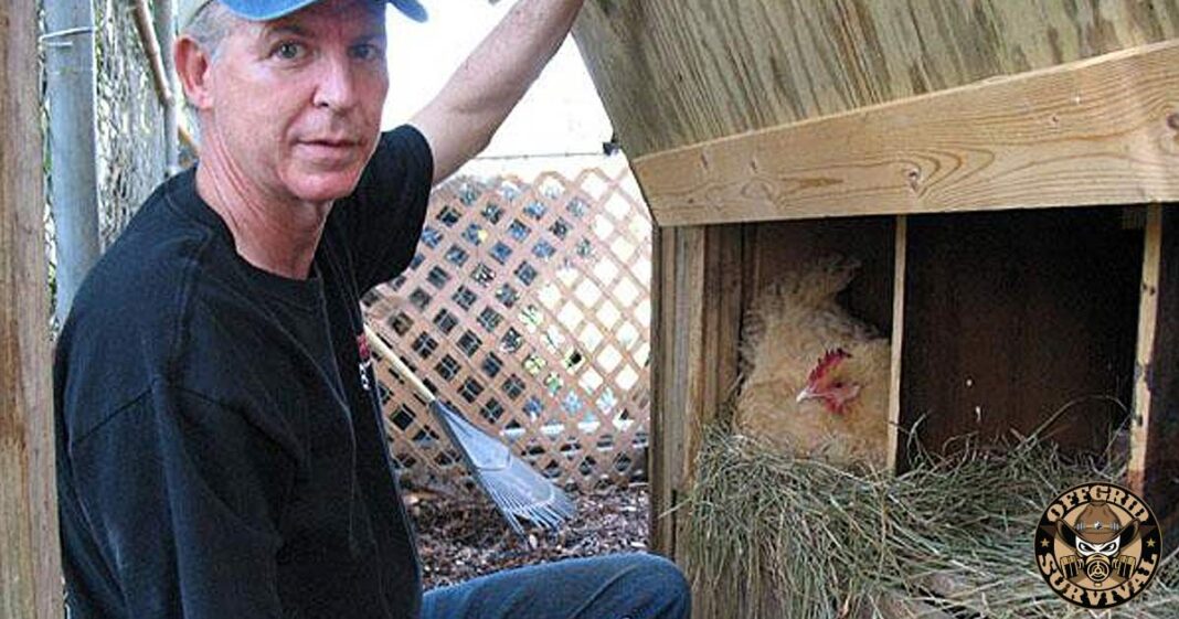 Chicken Man kills himself after government officials seize his land Chicken Man Andrew Wordes