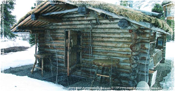 Log Cabin Survival Lodge