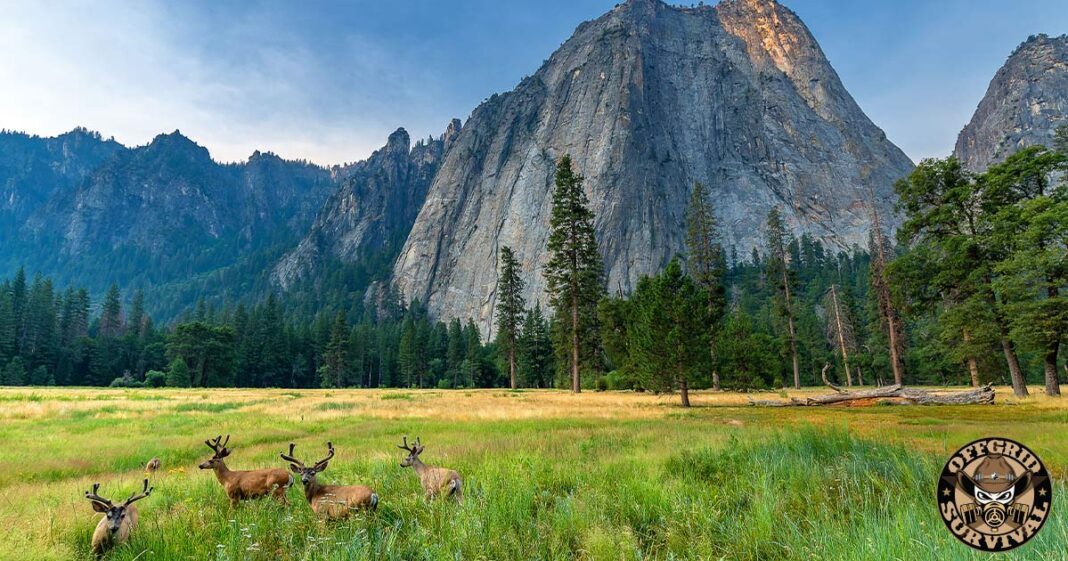 Hunting Safety: Tips for being a Safe Hunter Hunting