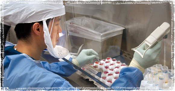 CDC Testing Labratory