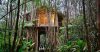 Image showcasing Off Grid Rentals: Unique Tiny Cabins and Off Grid Vacation Homes