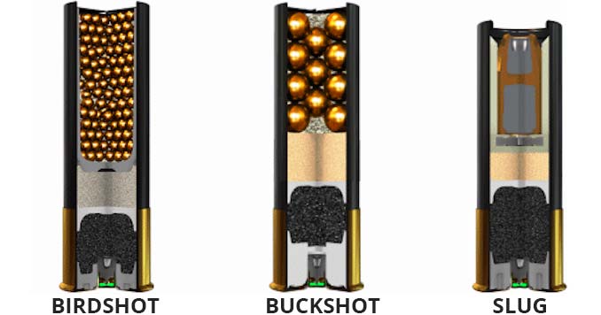 Shotgun loads -Buckshot, birdshot and slugs