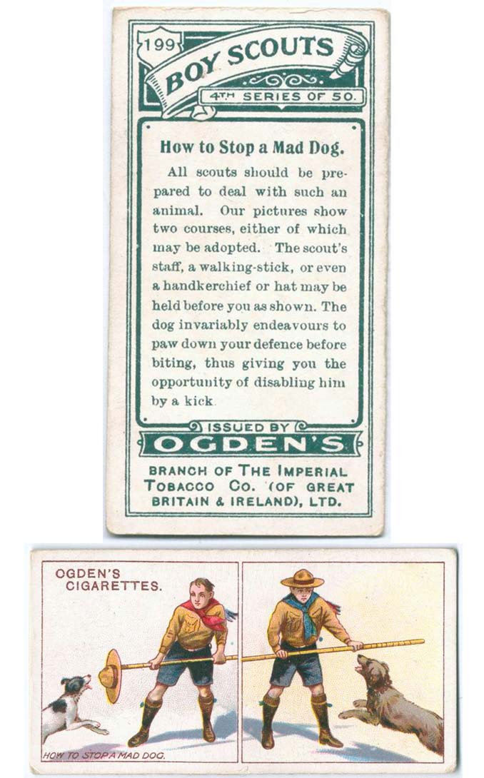 Boy Scout Cigarette Cards Stopping a Dog