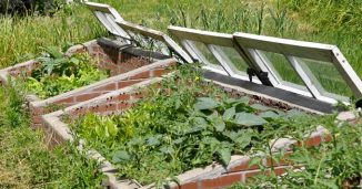 What a cold frame garden container looks like