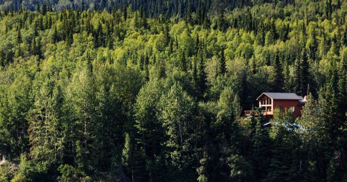 Off The Grid Cabin