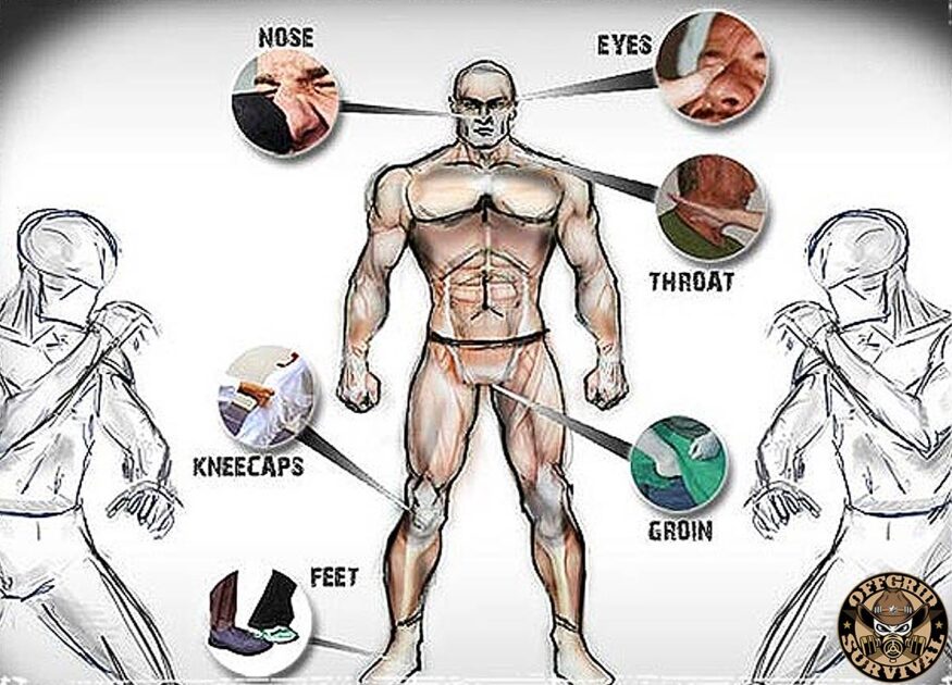 Diagram of the vital points on a human body and where to hit an attacker