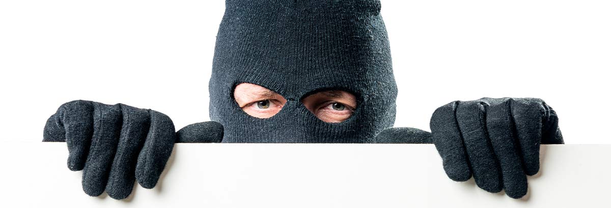Burglar