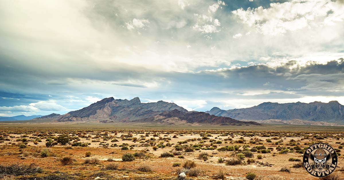 Southwest Desert